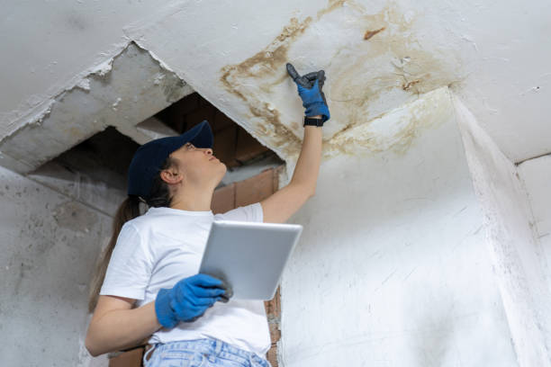 Water Damage Assessment